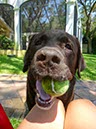 %_tempFileNameBob%20Cooper%